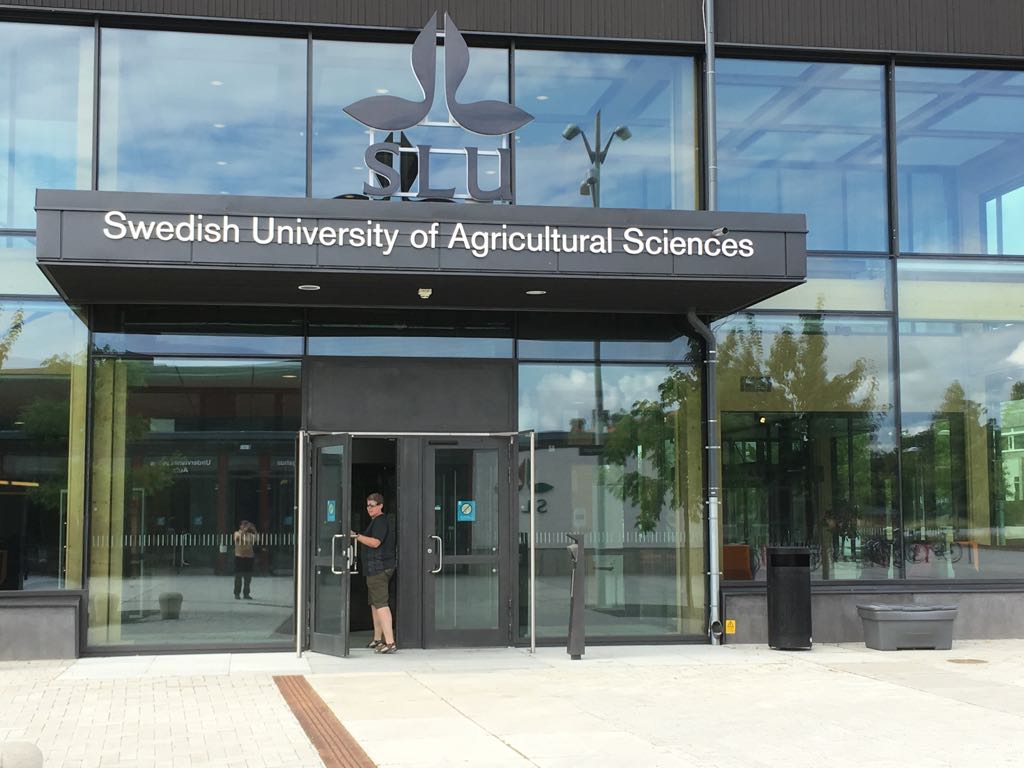 moniqueheger's tweet photo. De #Zaaier, maar dan bij de Sveriges Lantbruksuniversitet SLU in Uppsala. Leuke bibliotheek, inzicht in de courses en mogelijk nieuwe literatuur. Uni groeit ook daar en veel studentenhuizen worden nieuw gebouwd. https://t.co/9Fz13fcIGA