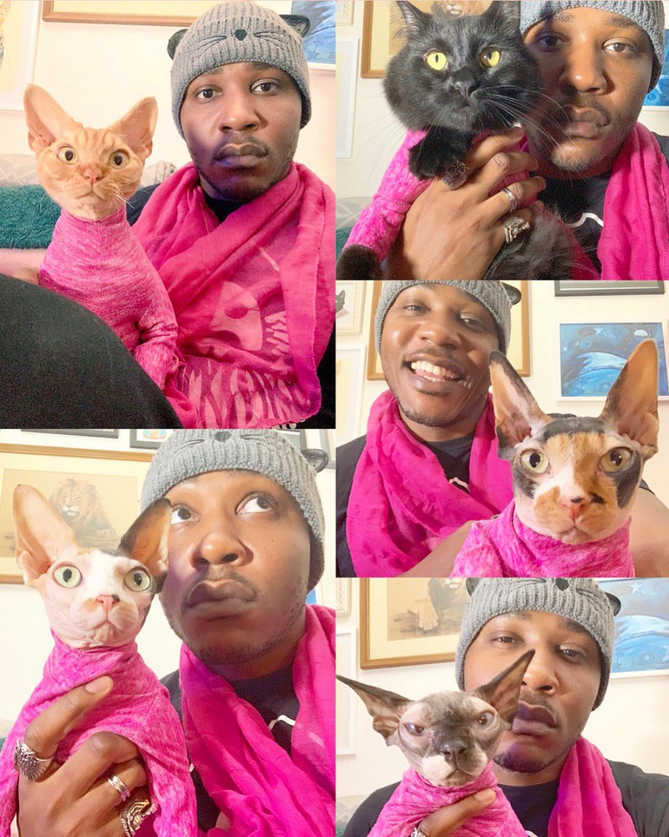 iammoshow's tweet photo. To all my cat people happy #InternationalCatDay may you enjoy this day with your kitties. Give them extra love and hugs on this day. But come on lets face it. If you’re a cat person EVERYDAY is international cat day https://t.co/cIe8a4qysP