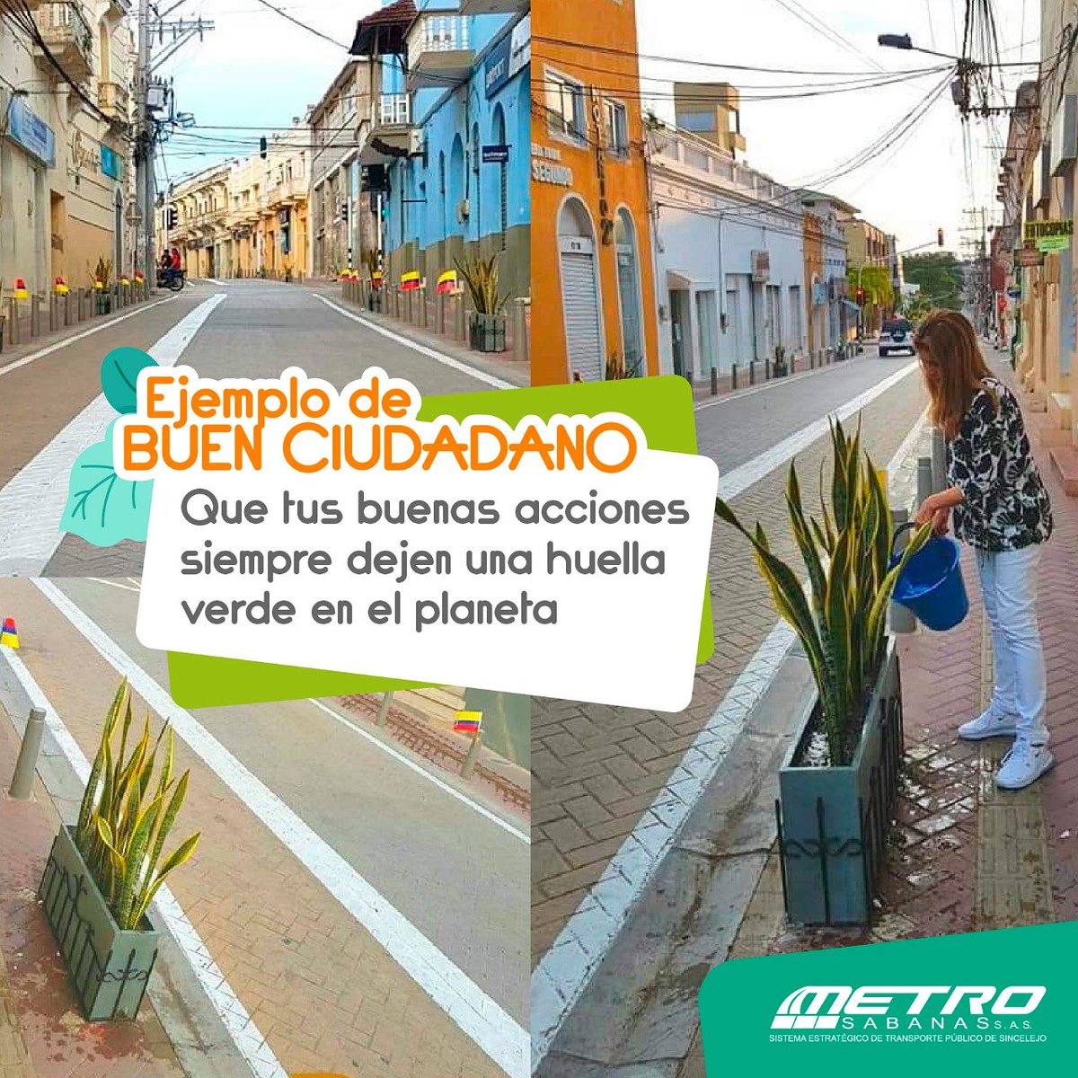 MetroSabanas's tweet photo. #Hoy felicitamos y exaltamos la hermosa labor de Ordalia Ochoa (Drogas Medellín), quien donó y sembró plantas ornamentales en las jardineras que #MetroSabanas instaló en la cl. 22 de #CentroAmable y se comprometió con el cuidado de estas. #EjemploDeBuenCiudadano https://t.co/EcDE1bc0f3