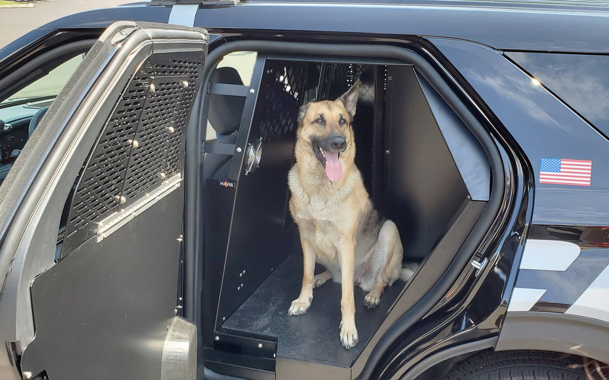 havisinc's tweet photo. Havis is busy getting this Ford 2020 Interceptor Utility ready for the Police Fleet Expo next week in Savannah, GA.
Nala decided to help out too!
#HavisEquipped #Rugged #K9 #PFE2019 #SolutionSelling #FordInterceptorUtility #FordMotorCompany https://t.co/U1ktqM9J6u
