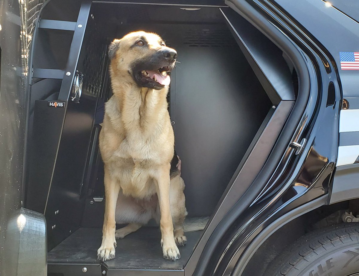 havisinc's tweet photo. Havis is busy getting this Ford 2020 Interceptor Utility ready for the Police Fleet Expo next week in Savannah, GA.
Nala decided to help out too!
#HavisEquipped #Rugged #K9 #PFE2019 #SolutionSelling #FordInterceptorUtility #FordMotorCompany https://t.co/U1ktqM9J6u