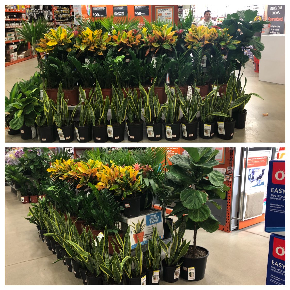FarmsCosta's tweet photo. HD1961 Back to school set. ⁦@CherieVelez75⁩ https://t.co/5I1bDbwQWV