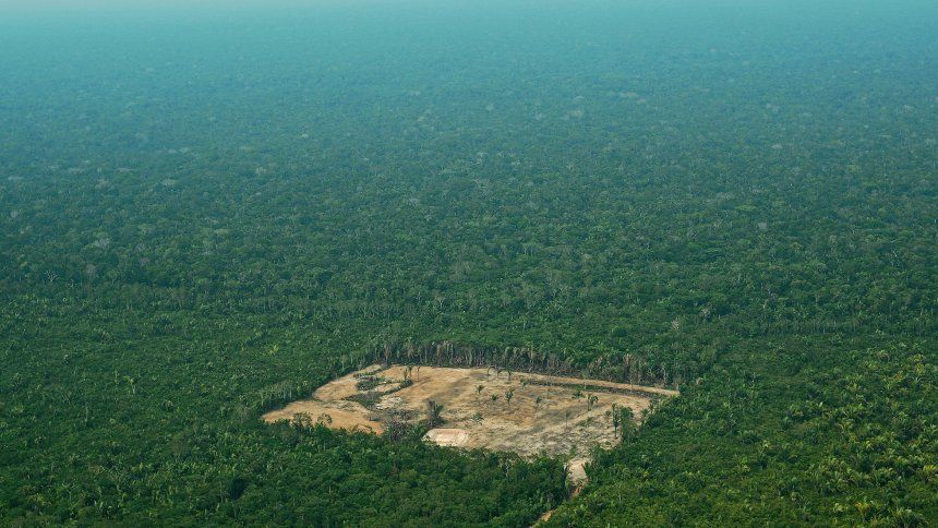 HuxlyNews's tweet image. Given #Amazon rainforest's global importance, should the U.N. pressure Brazil's President Bolsonaro to stop deforestation? buff.ly/2TdFfSA #climatechange
