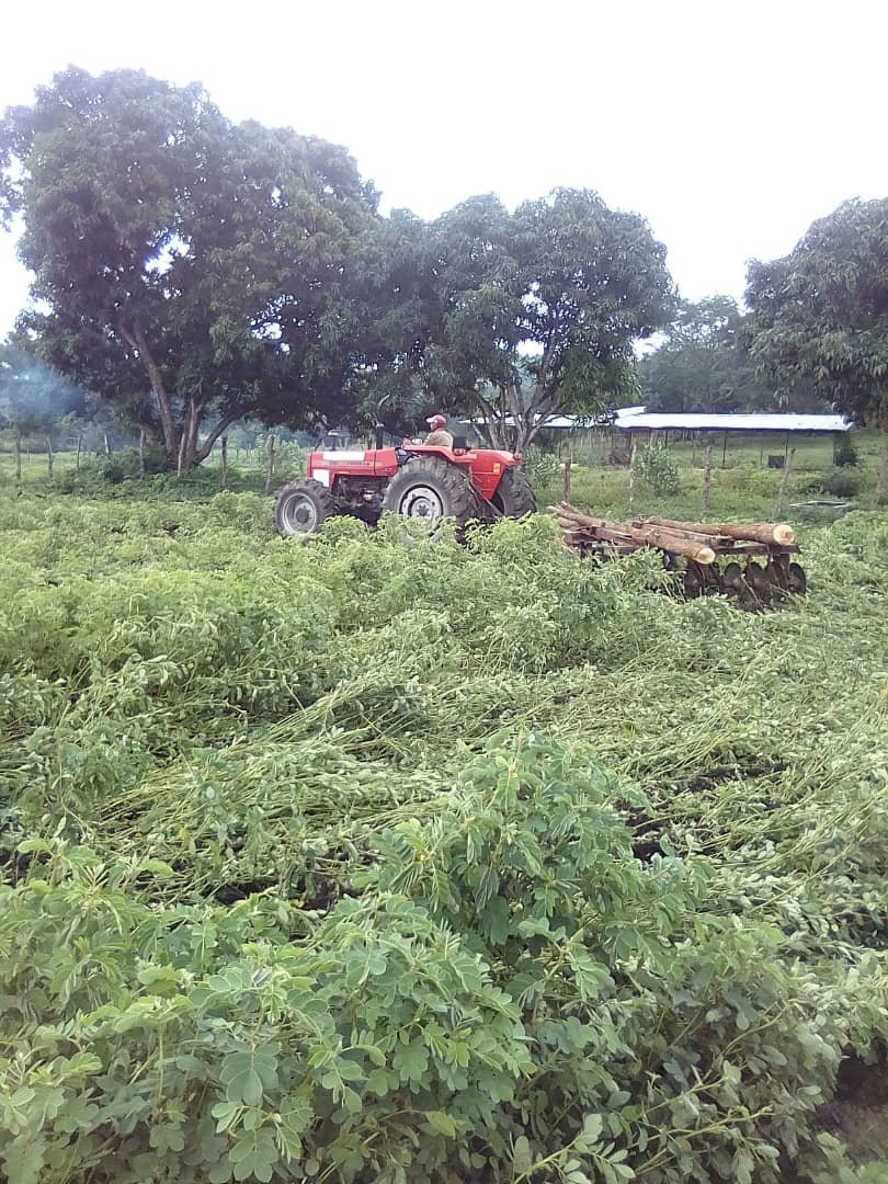 Vtiby's tweet photo. Activo personal en la ETAN  Raúl Vazquez Olivero en San Sebastian. En labores de rastreo. #AgostoEscuelasAbiertas @NicolasMaduro @psuvaristobulo @RMarcoTorres @leoalvacabrera @ZE_Aragua @AraguaEducacion @CRIFPMA @josevsierra @solyosmig https://t.co/NtevwD8jW6