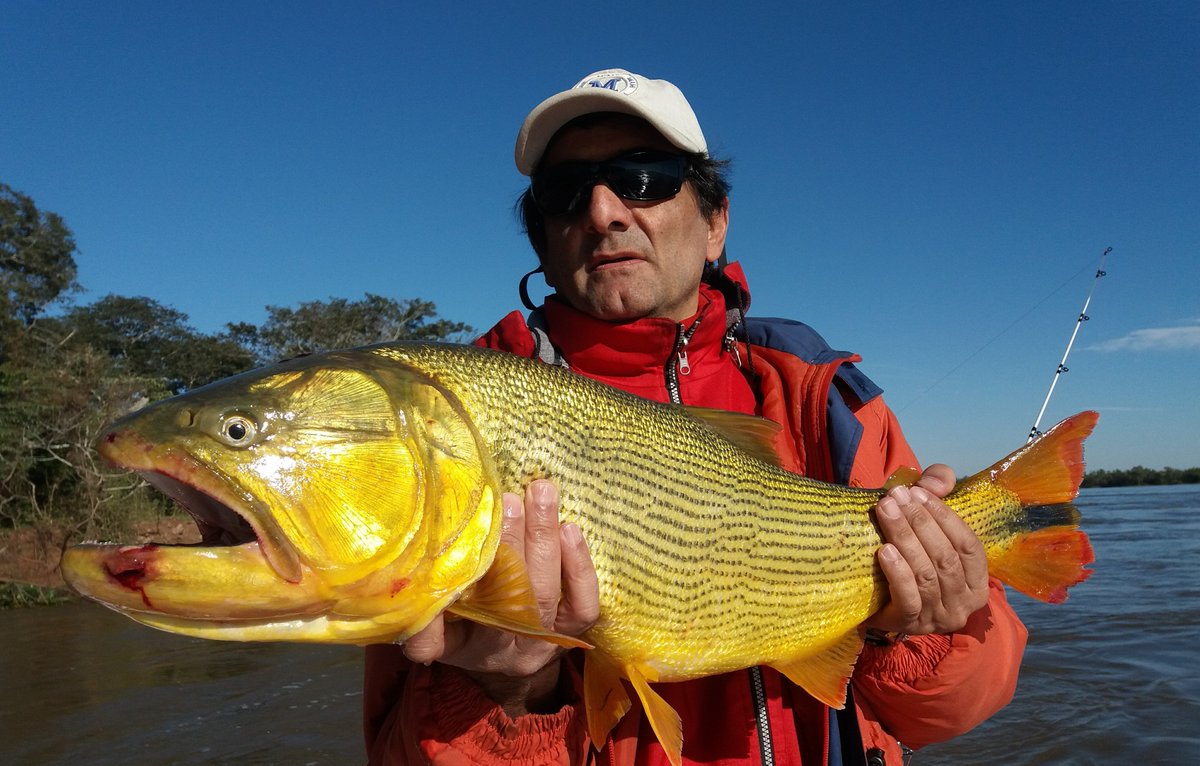 carlostortul's tweet photo. RECONQUISTA TE ESPERA PESCADOR DEPORTIVO https://t.co/baQ7P6RopK