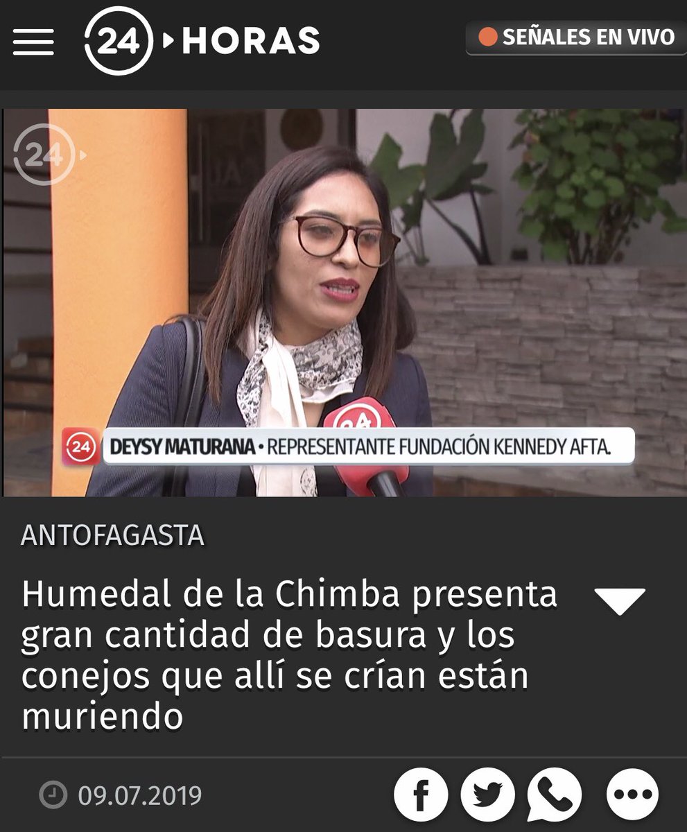 BunnyLoverscl's tweet image. En Bunny Lovers nos preocupamos día a día de que los #conejitos tengan una vida digna y sin maltrato; por ello queremos hacernos presente sobre lo que está sucediendo en el humedal de la chimba en la ciudad de Antofagasta ofreciendo nuestra ayuda. @Fund_Kennedy