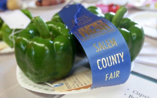 RutgersNJAES's tweet photo. The Salem County 4-H Fair ends tomorrow. Come on down and join in the fun! https://t.co/Mxi1a63dJs https://t.co/KIMxSlIMVW