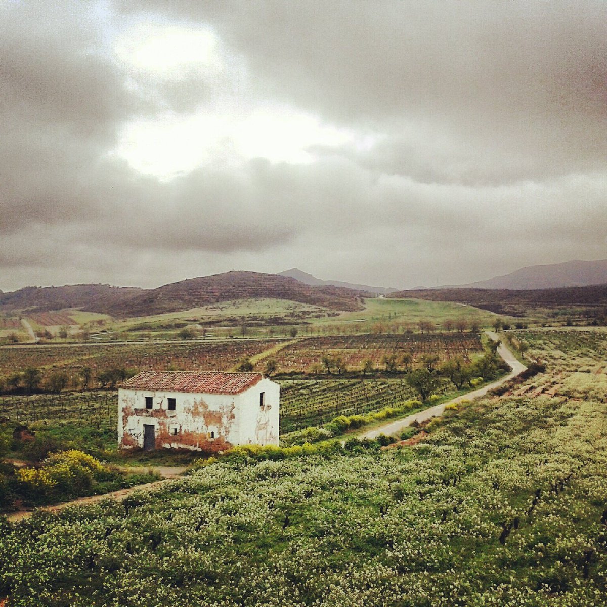 Novoneyra's tweet photo. #GL #Abrimos a convocatoria de residencias @AmetoMitico ! #Procuramos #poetas interesadas/os na actualización da tradición xacobea🍀! #OTeuXacobeo #xacobeo2021 Máis información en (link: https://t.co/PH3PAFf8Ks) https://t.co/PH3PAFf8Ks! #OteuXacobeo #xacobeo2021 https://t.co/6V6EgdehOq