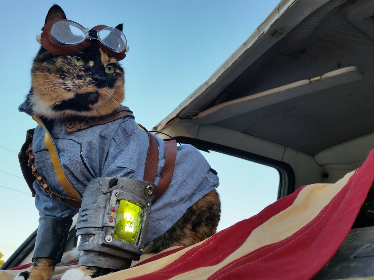fallout 4 ashes the cat