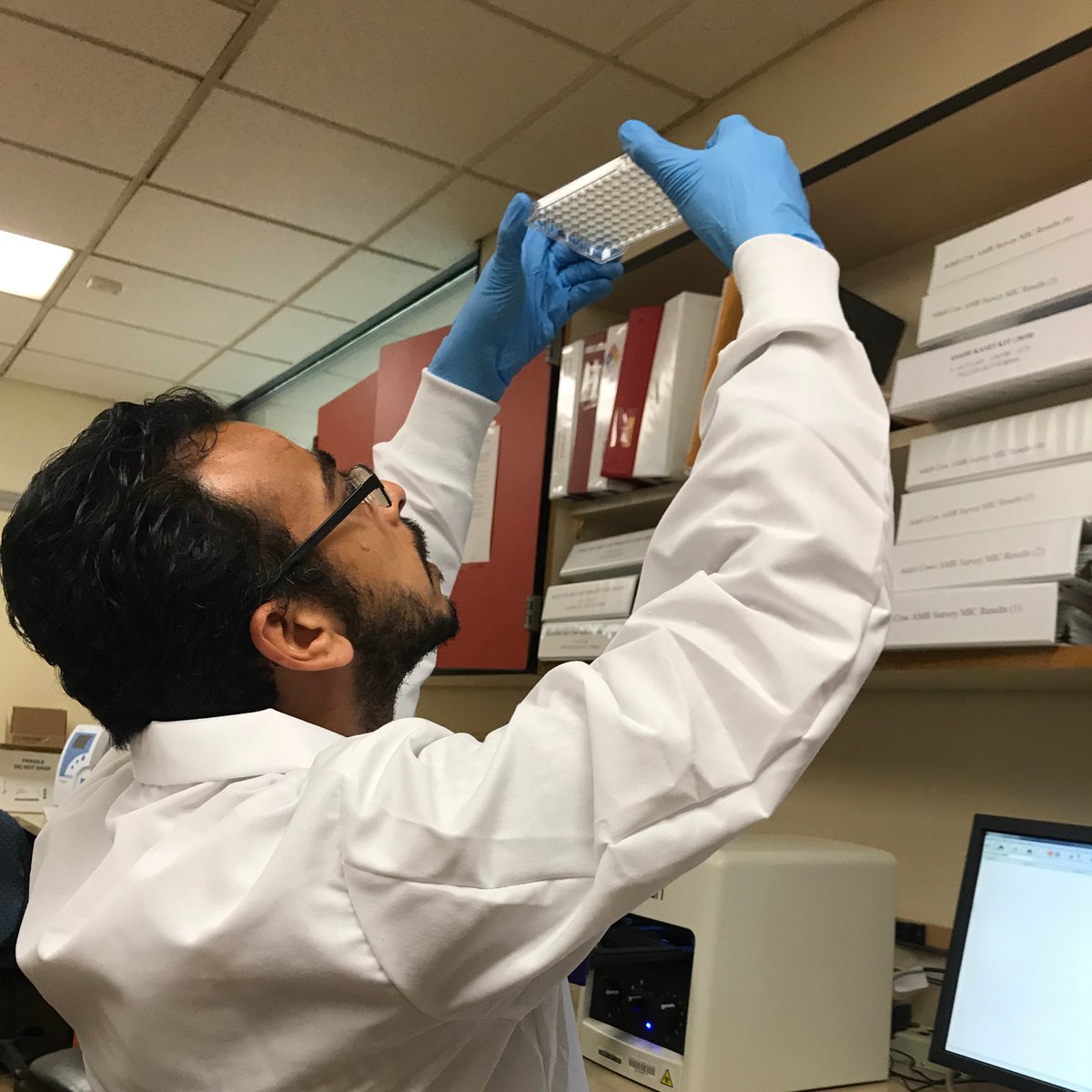 UCDavisAMR's tweet photo. Understanding the complex pathways between on-farm drug use and antimicrobial resistance in livestock will guide efforts to protect lives from future infections. Our research team is concluding a one year study looking at the resistance trends in bacteria from adult dairy cows. https://t.co/b1LLzXkVRg