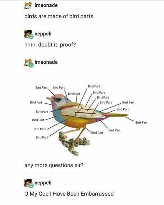 skatebirb's tweet photo. Is Doctorets of birbs n I certify dis troof https://t.co/MkXWMX3bzD