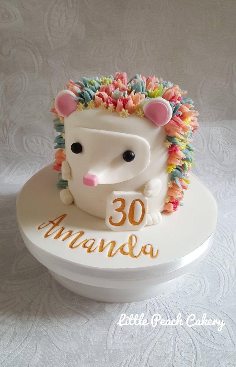 PeachCakery's tweet photo. I love to make these @peachcakery hedgehog cakes!
#hedgehogcake #buttercreamflowers #30th #birthday #cakedesigns #cakesoftwitter #cakedecoratingtutorials #niftynozzles #sugarandcrumbs #russianpipingtips #cakestuff #couture #sugarpaste #sweetstamps #Devizes #Wiltshire #cakemaker https://t.co/G7WtRmbM2l