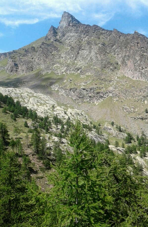 Antonella_Noire's tweet photo. Punta #Pousset - parete e cresta est - e vallone omonimo 💙 
#VallediCogne #valléedecogne #pngp #PNGranParadiso #vallidelcuore #sweetvalley #mountainphotography #montagne #naturalpina #trekkingparadise #mountainscape https://t.co/KlNogwhqSN