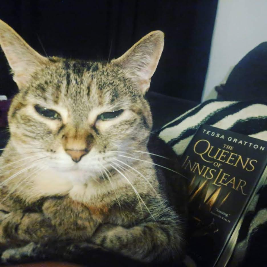 lawrencelibrary's tweet photo. "This is Ruca and Tina, who compete for the privilege of making my nighttime reading a little more difficult, but much more cozy." - Leah, Readers' Services #InternationalCatDay #LPLcats #LFKpets https://t.co/YoRZtdw4OG