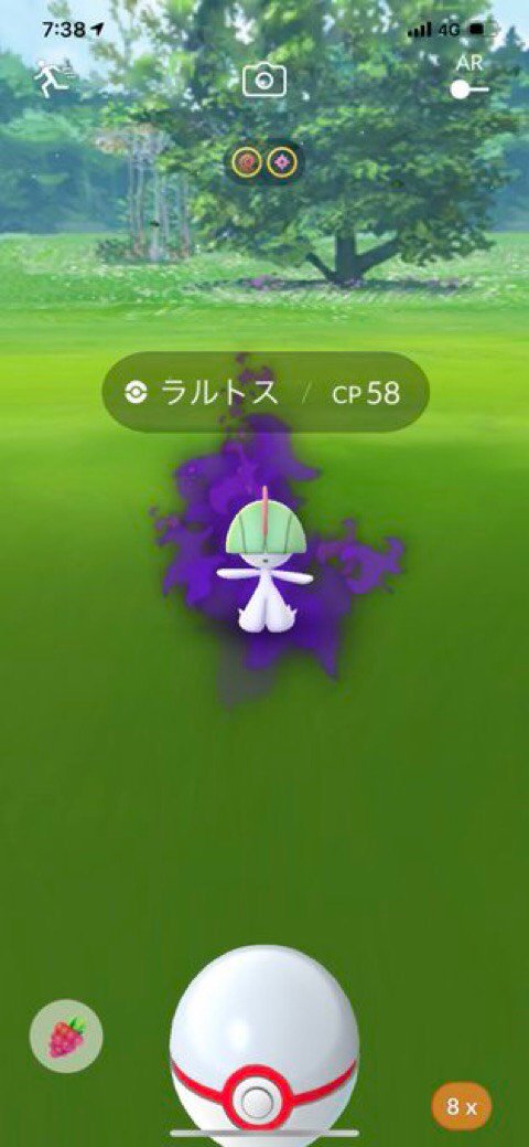 ポケモンgo攻略情報 ポケマピ در توییتر 情報提供のお願い Goロケット団が使用するバトルパーティで シャドウポケモン のラルトス キルリア サーナイト エルレイドを確認した写真をお持ちの方は リプかdmでお送りいただけますでしょうか いただいた画像は記事