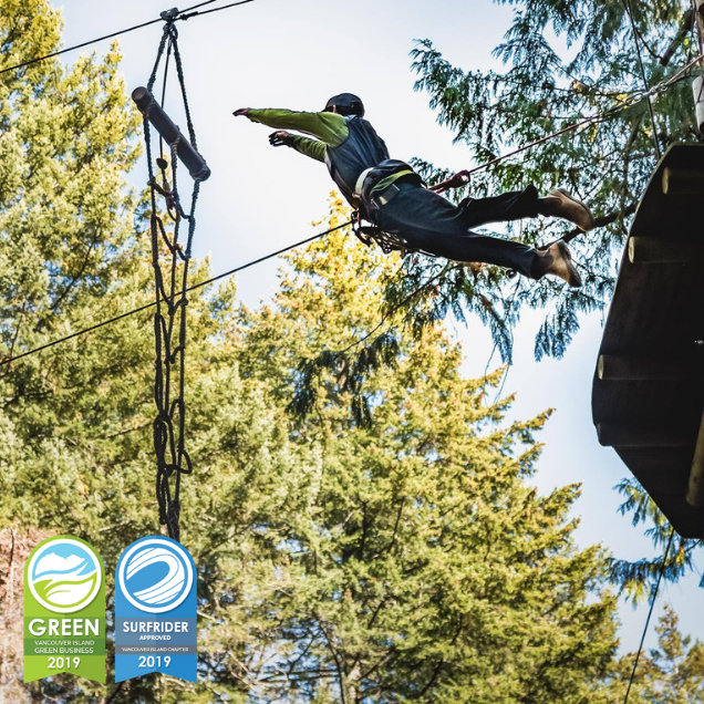 VI Green Biz tweet media