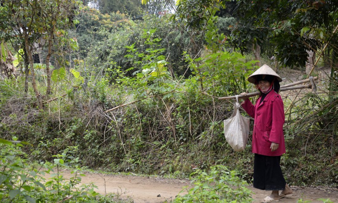 carecanada's tweet photo. UN #SRCCL report on #climatechange shows we need to view this emergency from every angle.
Reducing emissions, better land management practices, and inclusive approaches to policy needed to stop this crisis. #CanAdapt
More on transforming food systems: https://t.co/l6RpIrMwDw https://t.co/dzNapRry88