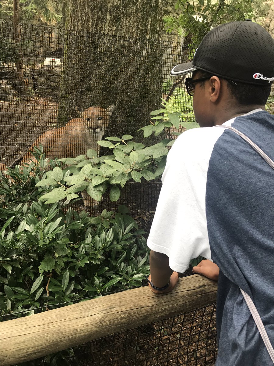 AFavia_NM's tweet photo. Successful trip to the zoo! The students showed off their knowledge about animals. @NMSpecServ_NJ  #ESY2019 https://t.co/otdG3upiYy