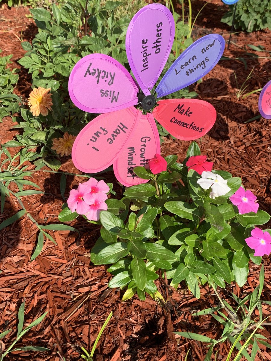 Ready to learn and grow!