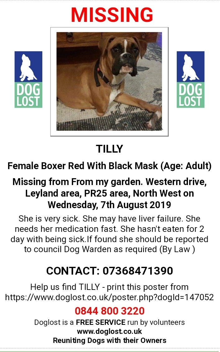 MissingPetsGB's tweet photo. 🐕*VERY URGENT*
#tripaw TILLY disappeared from her garden 7 Aug. She is VERY SICK &amp; may have liver failure. She needs her MEDICATION fast. She hasn't eaten for days with being sick.
#Missing from Western Drive #Leyland #PR25 https://t.co/BAFbRL1Ges  https://t.co/DuLeqGCgbj https://t.co/3iRTsq3ftm