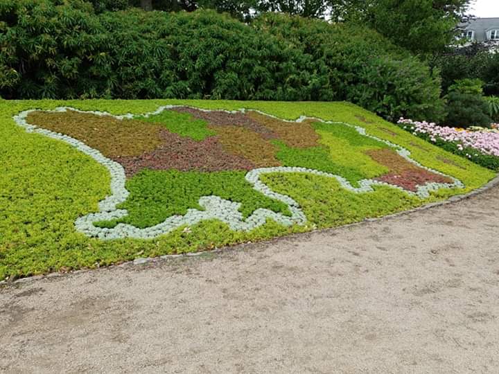 11th Eastbourne Scout Group tweet media