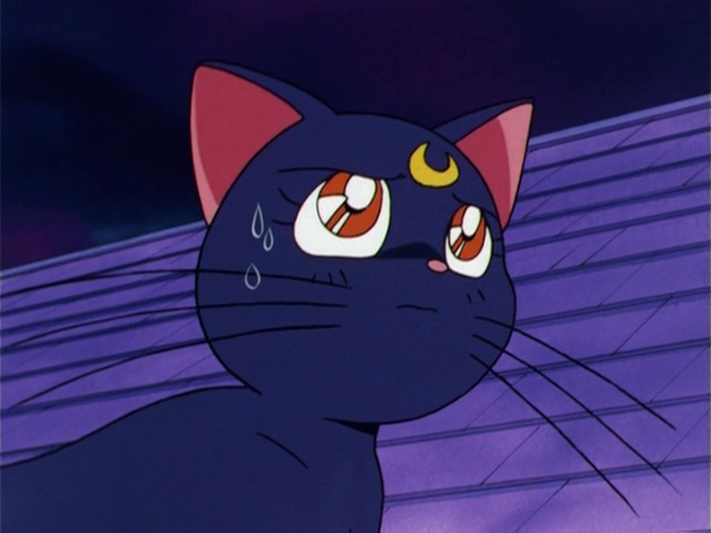 Sailor Moon Trivia On Twitter Luna S Eyes Appear To Be Blue In Colored Art From The Manga Whereas In Both Anime Her Eyes Are Red In The Sailormoon S Movie The Luna and artemis are called back to there home planet. sailor moon trivia on twitter luna
