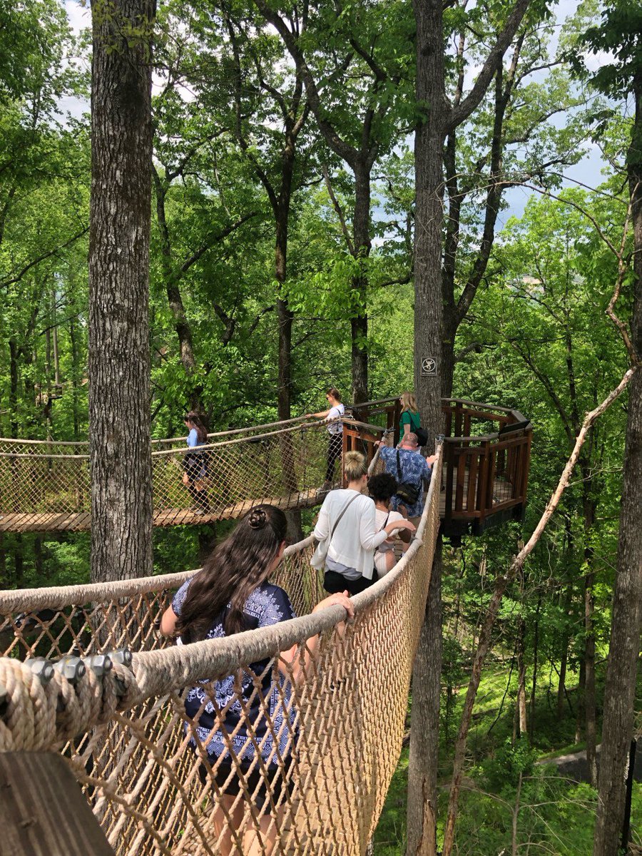 theSMMomblog's tweet photo. Anakeesta is a must-do when you travel to Gatlinburg! Here are my 5 favorite things to do on Anakeesta Mountain! https://t.co/KyBCAkvjJy https://t.co/tCBt5f7Psm
