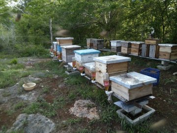 Ver imagen en Twitter