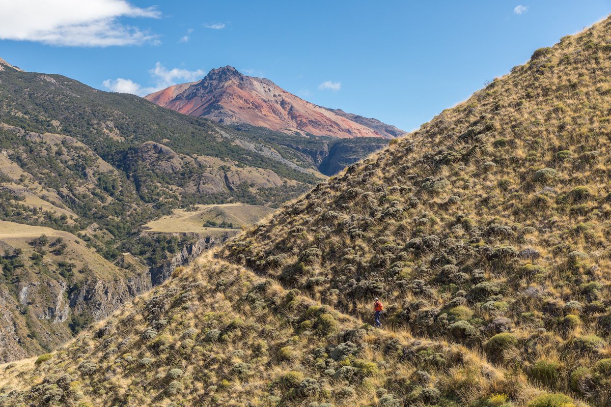 jmsafe's tweet photo. guadatech: RT rutadeparques: Escenario de grandes estancias ganaderas, hoy los pastizales del Parque Nacional Patagonia se han ido recuperando tras un siglo de sobrepastoreo y albergan uno de los niveles de biodiversidad más altos de la región de Aysén |… https://t.co/BmBo2TcMtb