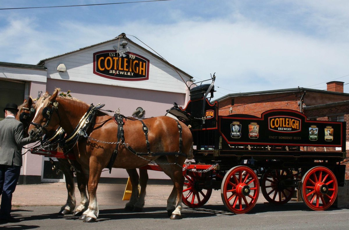 SomersetCountyS's tweet image. Cotleigh Brewery is celebrating 40 years and will be our main beer /ale provider #localbeer #heavyhorses and @tauntonciderco will be our main provider of cider #localcider #Somerset #Taunton