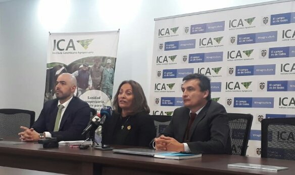 La gerente general del ICA, <a href="/deyabarrerol/">Deyanira Barrero León</a>, junto con el Subgerente de Protección Vegetal, <a href="/JCardenasLopez/">Jaime Cardenas Lopez</a>, y el Presidente de la SAC, <a href="/jebedoya/">Jorge Bedoya</a>, confirman la presencia de Fusarium Raza 4 Tropical en La Guajira.