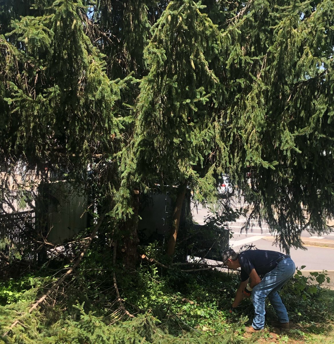 meadowswildcats's tweet photo. Thank you so much to the Cabell County Grounds Crew for all your hard work and for making Meadows look incredible! #BEAWESOME @cabellschools https://t.co/b9Tm0x2gvc