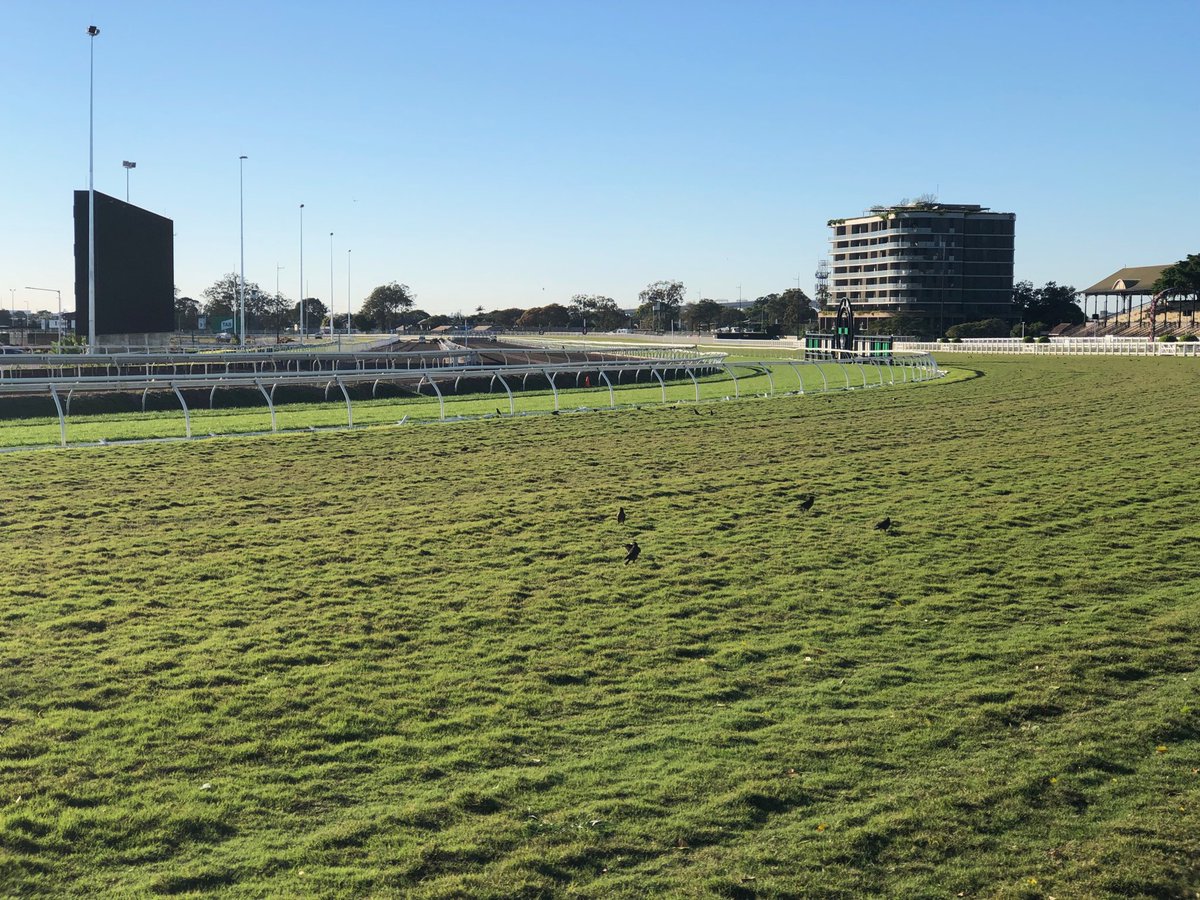 Wow what a great morning here at Eagle farm this morning waiting for the jump outs to begin