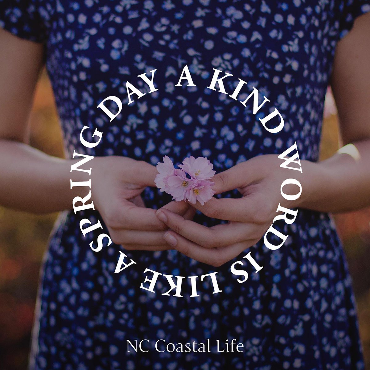NCCoastalLife's tweet photo. “A Kind Word is like a Spring Day.” A compliment can really make a difference to someone’s day. #InspirationalQuote #positivity https://t.co/jBGengPmaT https://t.co/d57YjXsXF2