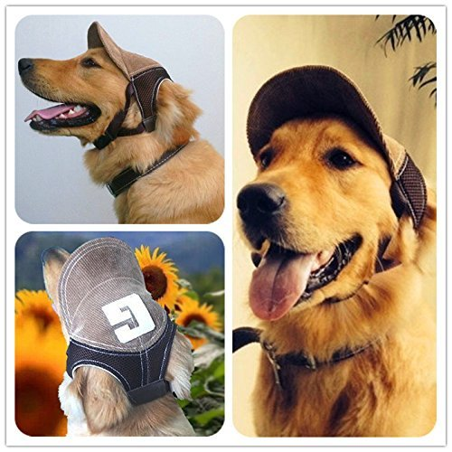 AntiEliite's tweet photo. luke's dogs be like: https://t.co/sAijQRPifz