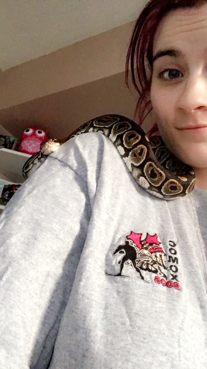 rubyroxx3's tweet photo. I love my snakes #girlswithsnakes #snakemom #snakezone #snakes #boaconstictor #ballpython #girlswithpeircings https://t.co/i3g2jbsDgv