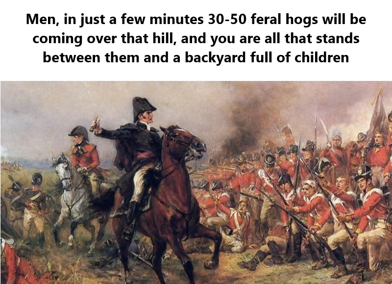 colwhiting's tweet photo. #feralhogs https://t.co/wHOQAZkEPf