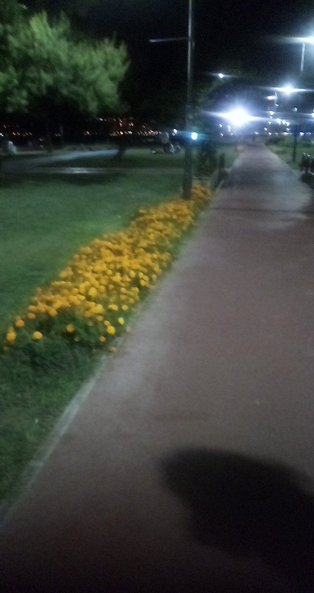 poyraz30(🔥miti poyraz🔥) (@poyraz35queen) on Twitter photo 