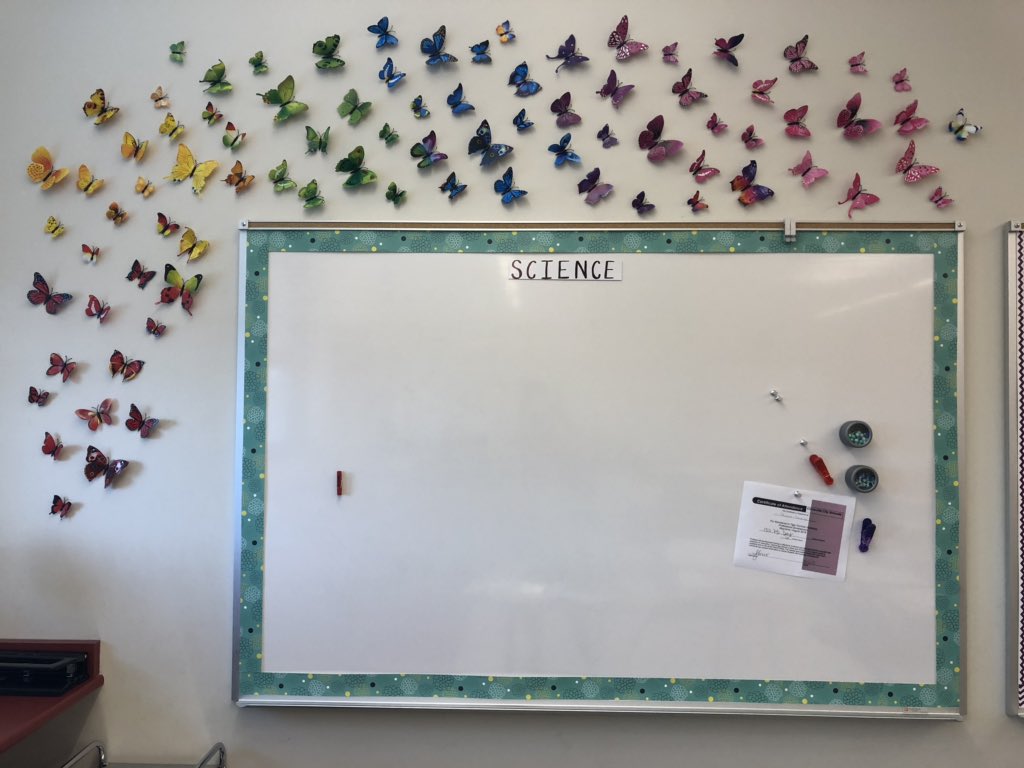 bayelerr's tweet photo. It’s coming along 🤩🍎✏️🦋🐾❤️ https://t.co/4JEacqaXx3