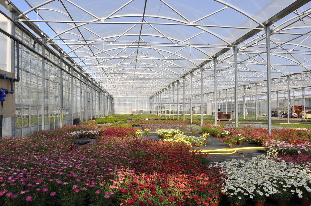 NatPolytunnels's tweet photo. All of our #polytunnels have been designed and manufactured in our factories in County Durham since 1982.
#horticulture #commercial #Multispans #madeinUK #bestofbritish https://t.co/dfaX1XKFxI