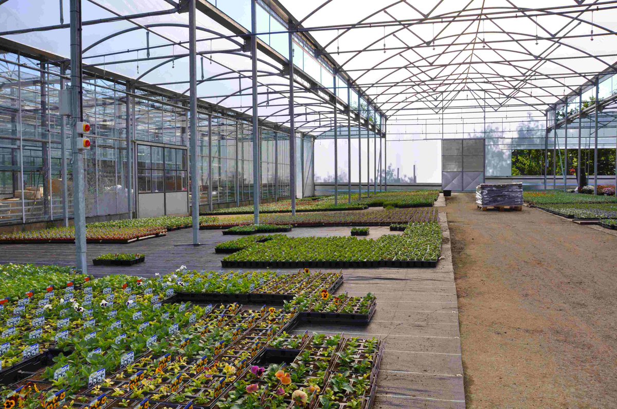 NatPolytunnels's tweet photo. All of our #polytunnels have been designed and manufactured in our factories in County Durham since 1982.
#horticulture #commercial #Multispans #madeinUK #bestofbritish https://t.co/dfaX1XKFxI