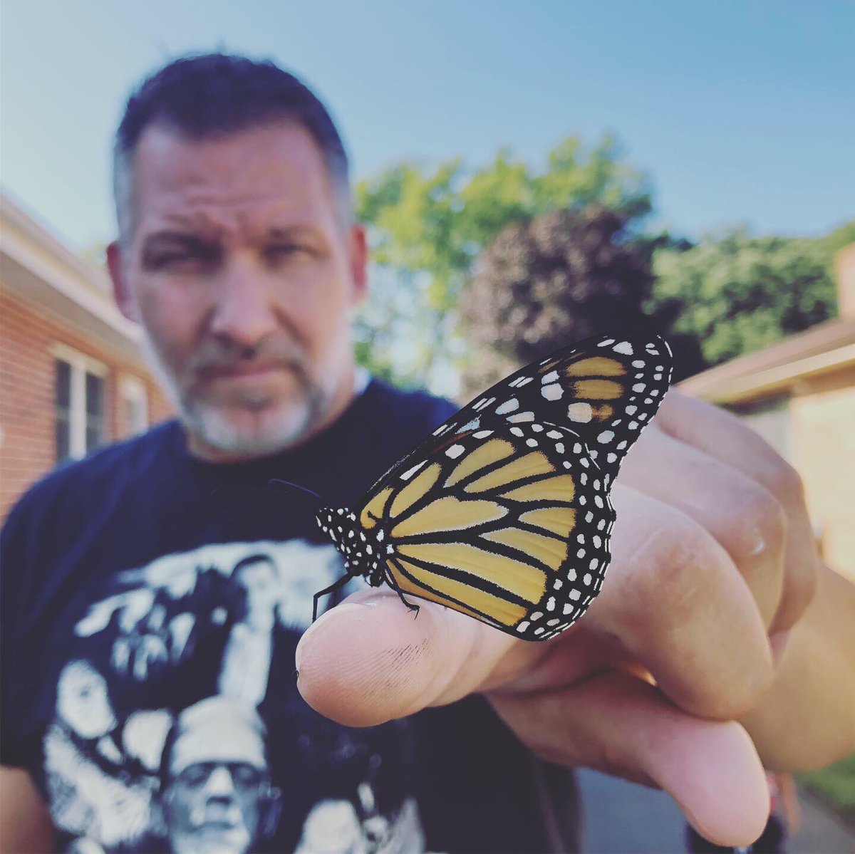 balickisbio's tweet photo. I don’t have a true count yet but we have some successful releases.  I love when they stick around long enough to get some pictures.  @FremdScience #balickibutterflies https://t.co/ss0qzyBc21