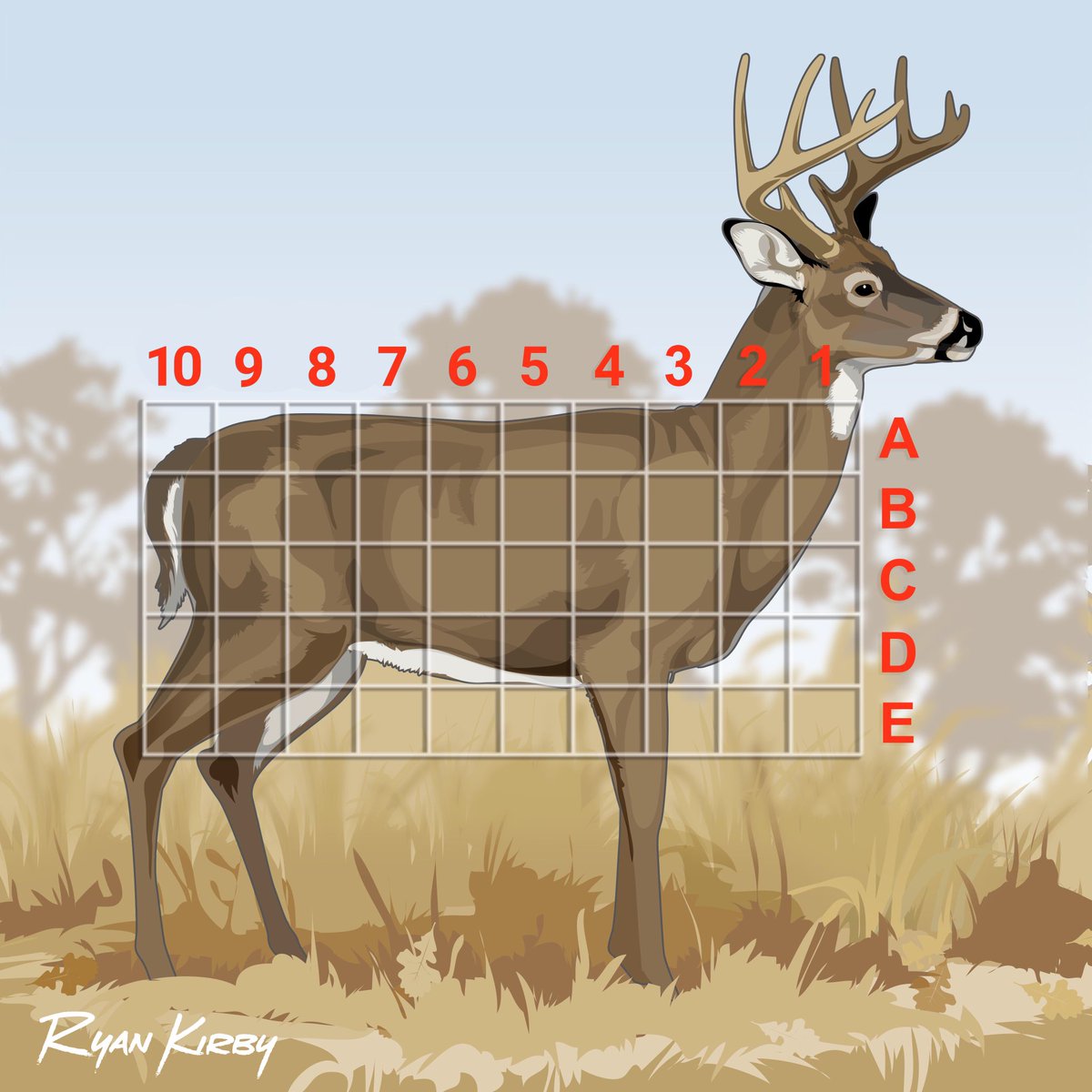 Drury Outdoors 🦌 tweet media