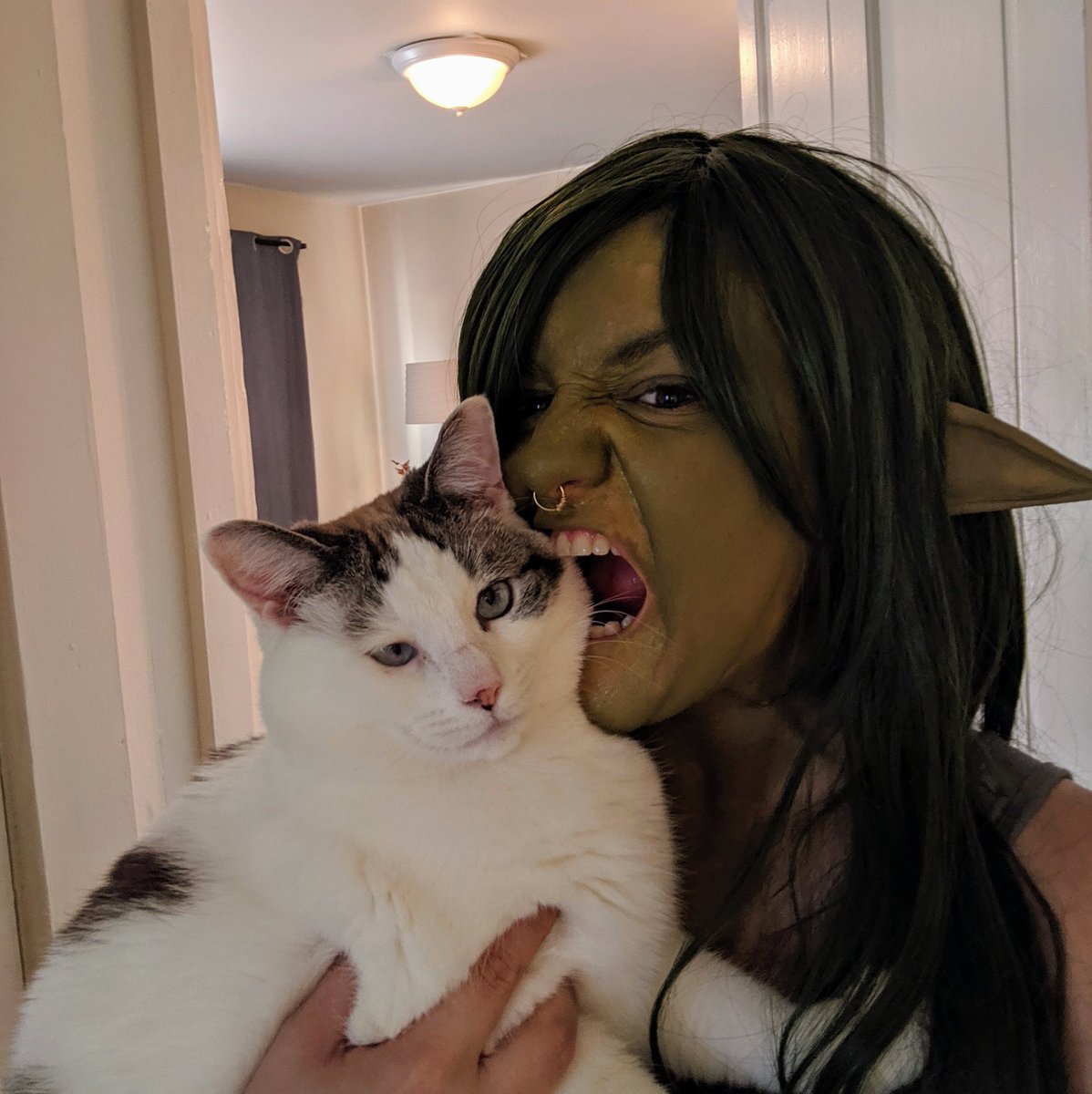 fea_nara's tweet photo. What do we do when we test run our Nott getup? Why, we eat - *ahem* - snuggle our Frumpkin of course!

@sincerely_mags @samriegel @CriticalRole @CritRoleCosplay #criticalrole #nottthebrave #frumpkin #littlegoblingirl #myfirstcosplay #nocatswereharmed https://t.co/Bf9wyAUN5w