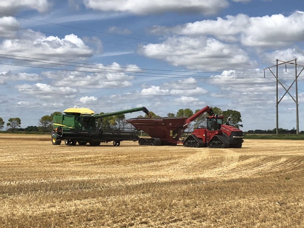 antara_jenn's tweet photo. Another beautiful afternoon to continue harvesting wheat trials. #getitinthebin @antaraag @gilsab67 @JaySab96 https://t.co/hFK6yaQnSp