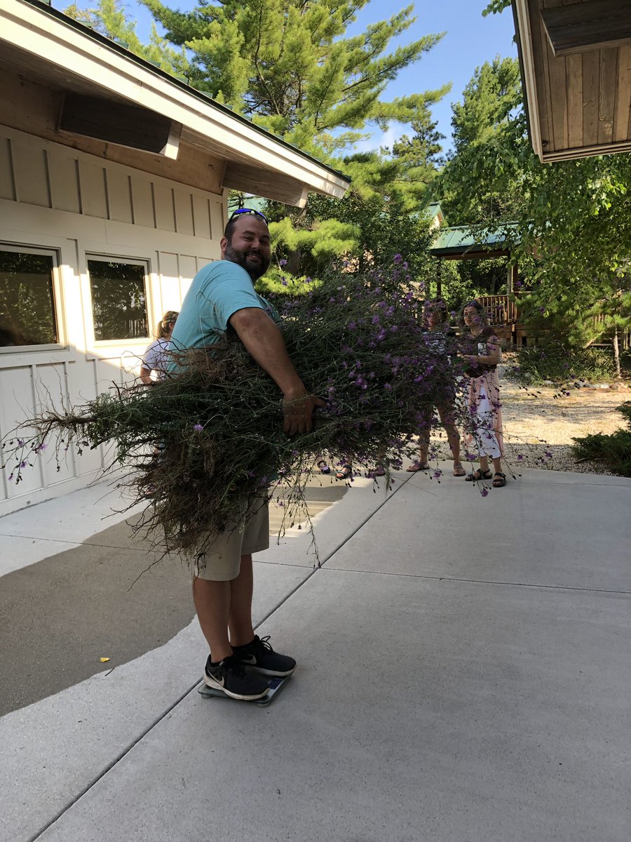 Renee Fain (@rfain118) on Twitter photo 