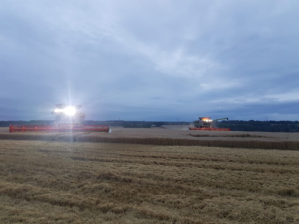 Nibbling off 80ha this afternoon between the lovely British weather! #Farm24 #springbarley #planet #claas #Harvest19 @ClaasWestern