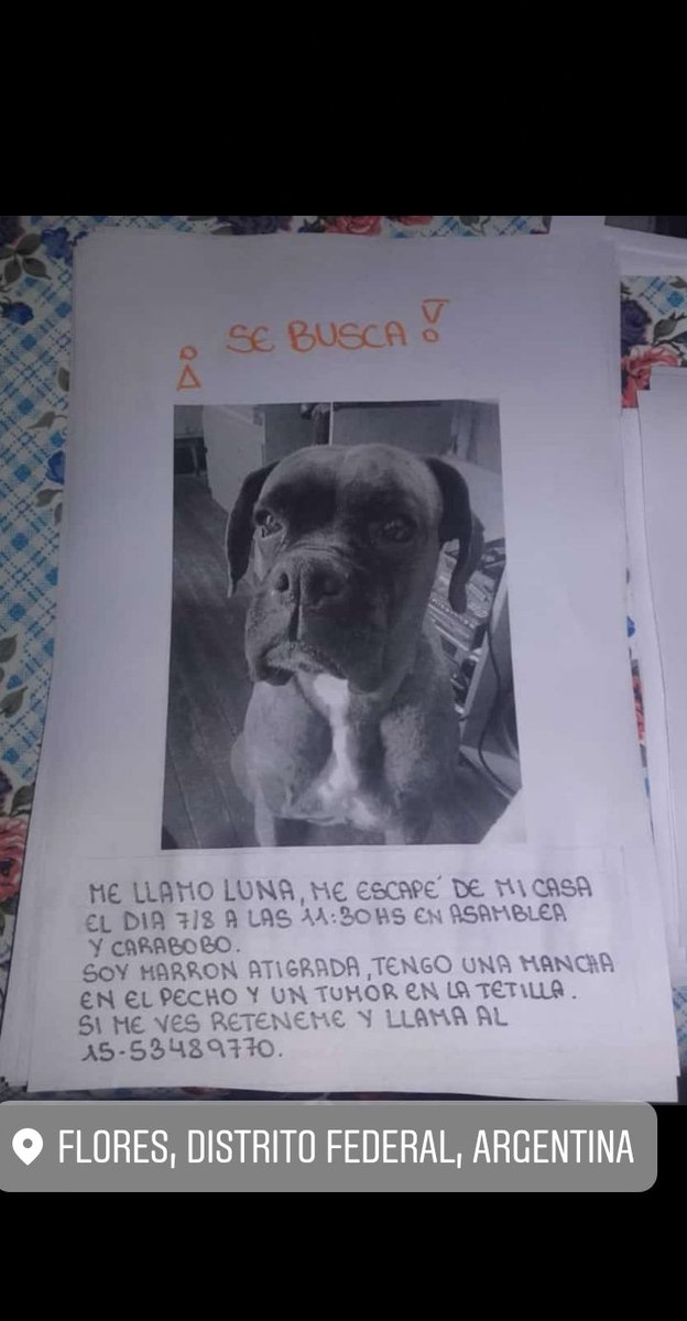 sofi_almafuerte's tweet photo. Difundiendo tambien nos ayudan!! https://t.co/gsVdJgRyzh