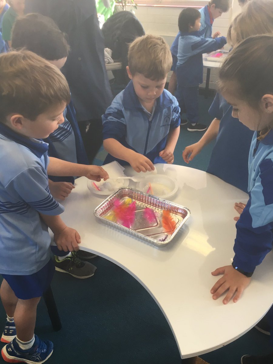 Genna_Spads's tweet photo. This year @NewmanCollegeWA our #StemFestival is focused on #sustainability. Year 2G and PPG were #challenged to #collaborate to clean up oil spills in the classroom 🕵️‍♂️👩🏻‍🔬@KatyaAnderson3 @LisaMcclue https://t.co/sOhVcVIkzh