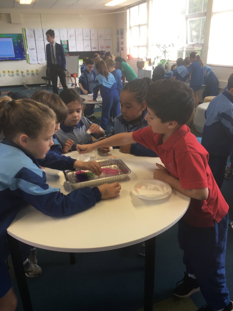 Genna_Spads's tweet photo. This year @NewmanCollegeWA our #StemFestival is focused on #sustainability. Year 2G and PPG were #challenged to #collaborate to clean up oil spills in the classroom 🕵️‍♂️👩🏻‍🔬@KatyaAnderson3 @LisaMcclue https://t.co/sOhVcVIkzh